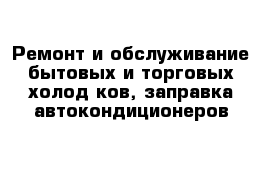 Ремонт и обслуживание бытовых и торговых холод-ков, заправка автокондиционеров